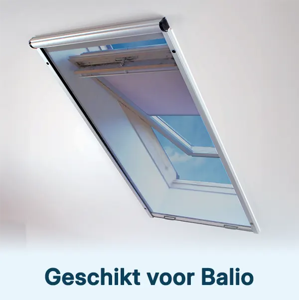 Insectenhor voor Balio